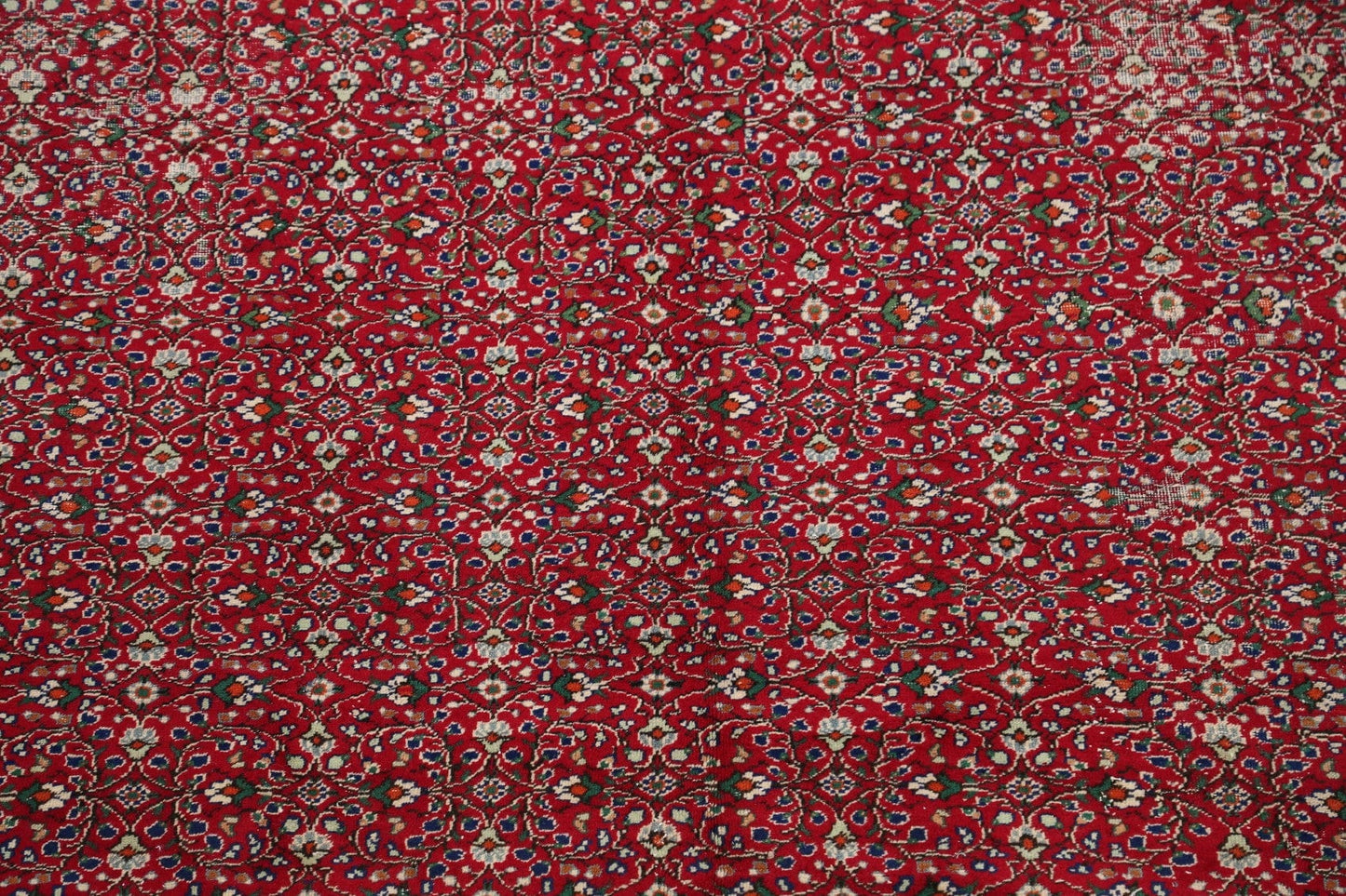 Anatolian Oriental Area Rug 7x9