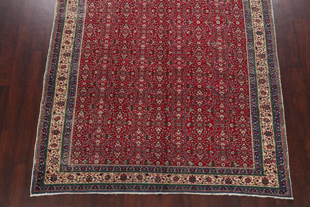 Anatolian Oriental Area Rug 7x9