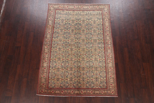 Anatolian Oriental Area Rug 5x7