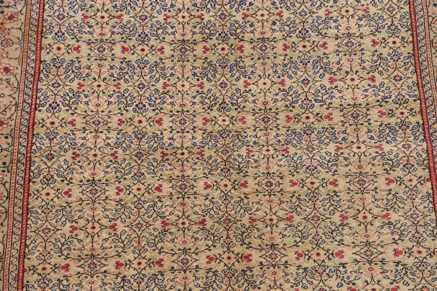 Anatolian Oriental Area Rug 5x7