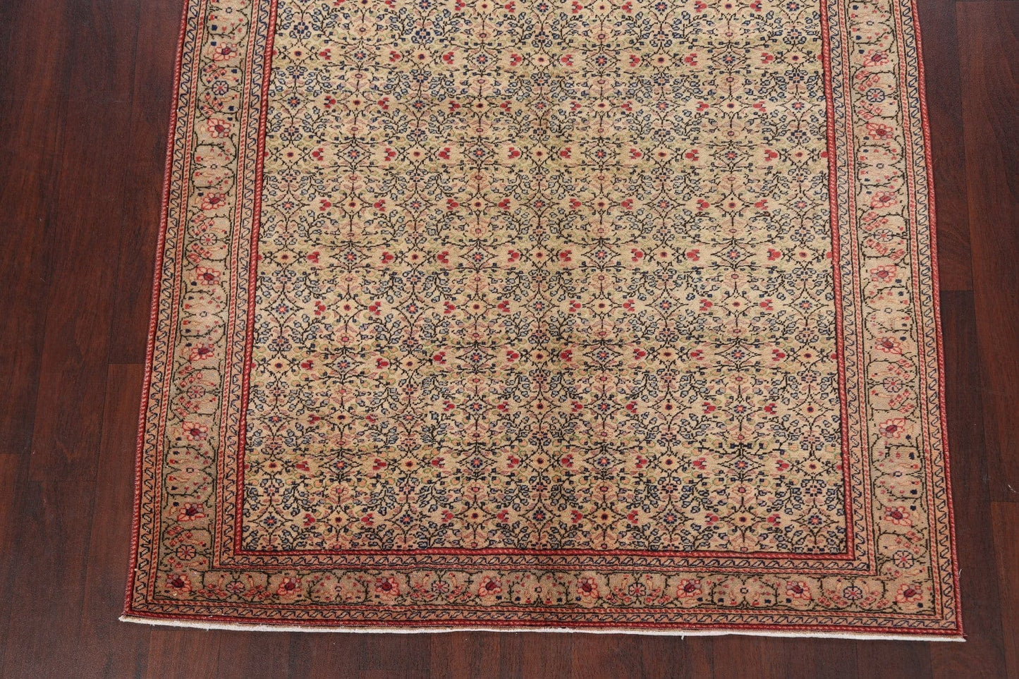 Anatolian Oriental Area Rug 5x7