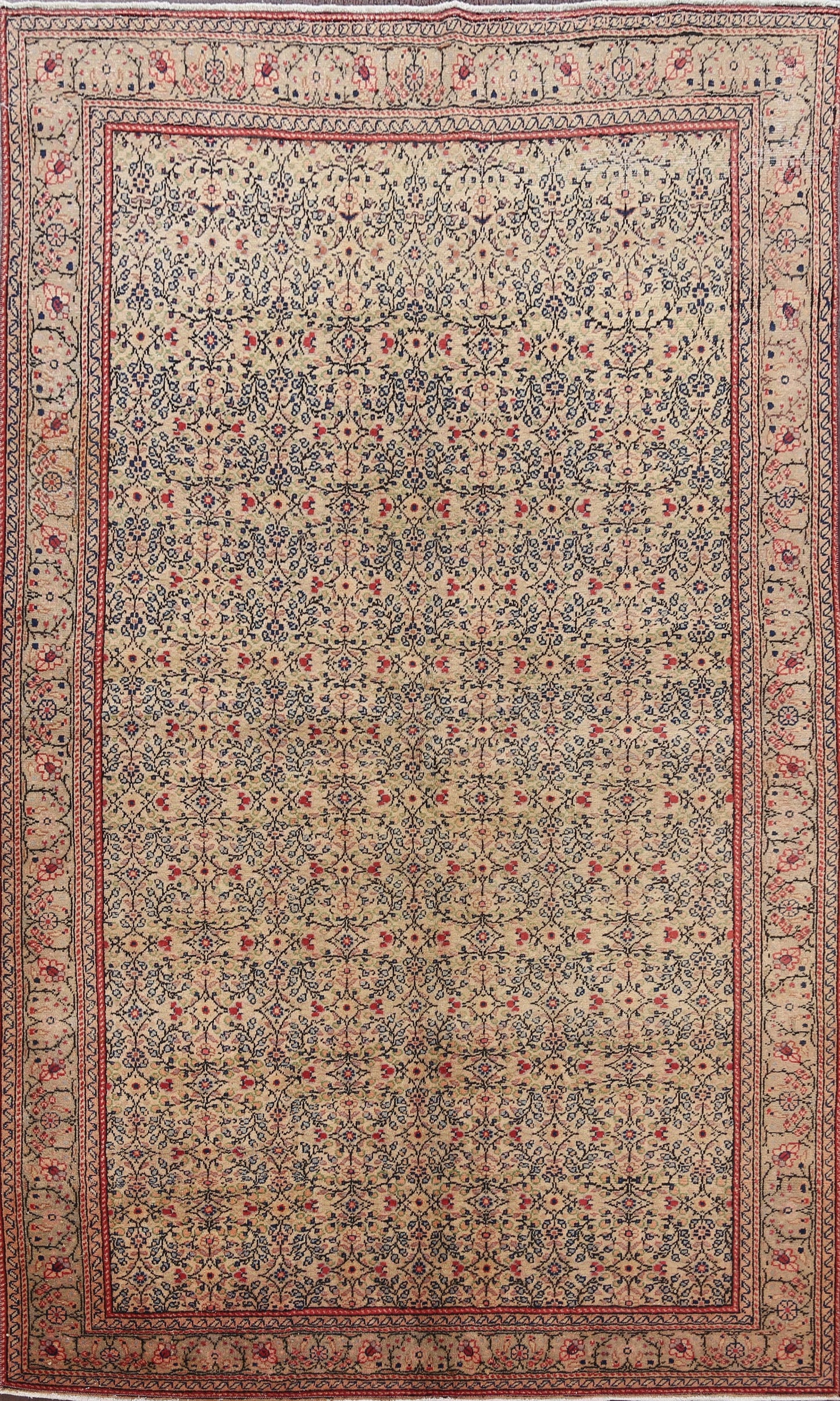 Anatolian Oriental Area Rug 5x7