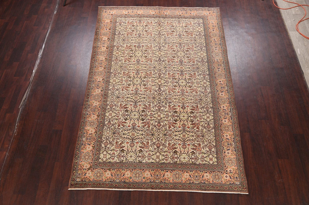 100% Vegetable Dye Anatolian Turkish Area Rug 6x10