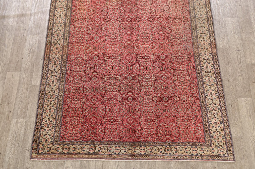 100% Vegetable Dye Anatolian Turkish Area Rug 6x10