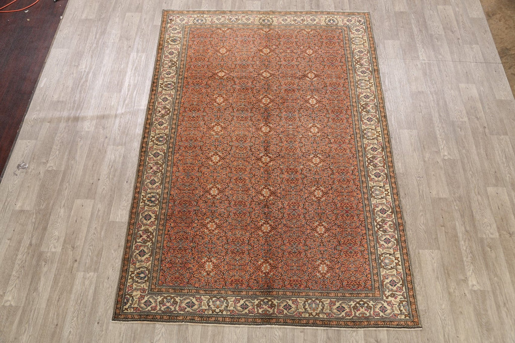 100% Vegetable Dye Anatolian Turkish Area Rug 6x10