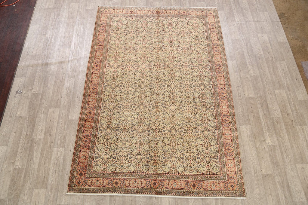 100% Vegetable Dye Anatolian Turkish Area Rug 7x10