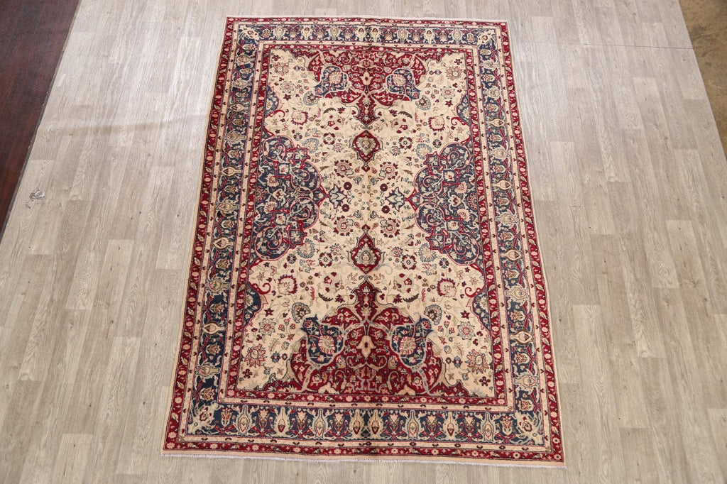 Anatolian Oriental Area Rug 6x9