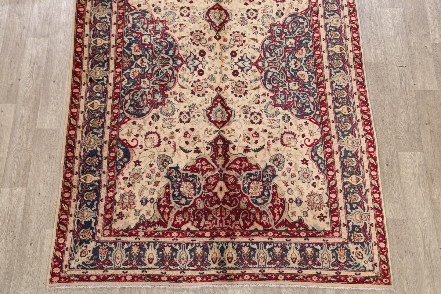 Anatolian Oriental Area Rug 6x9