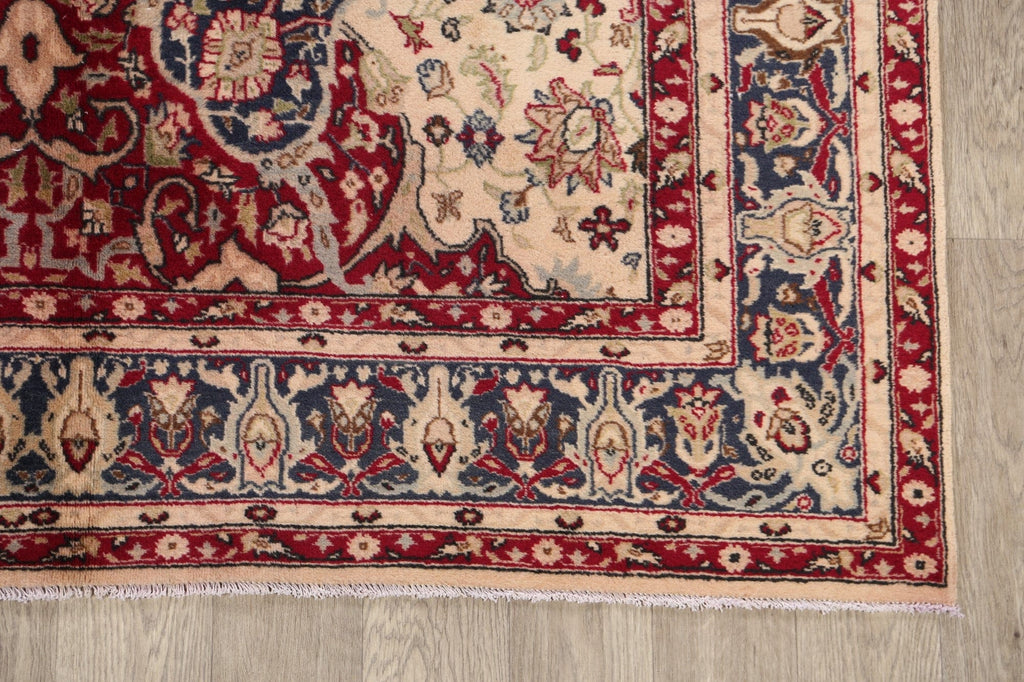 Anatolian Oriental Area Rug 6x9