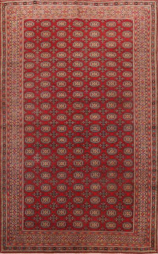 Anatolian Oriental Area Rug 6x10