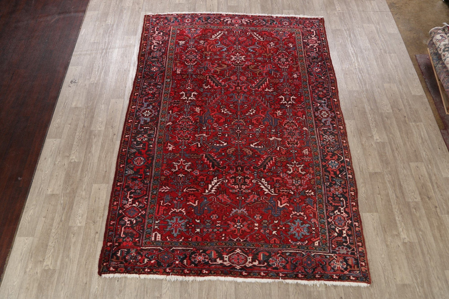 Geometric Heriz Persian Area Rug 7x11