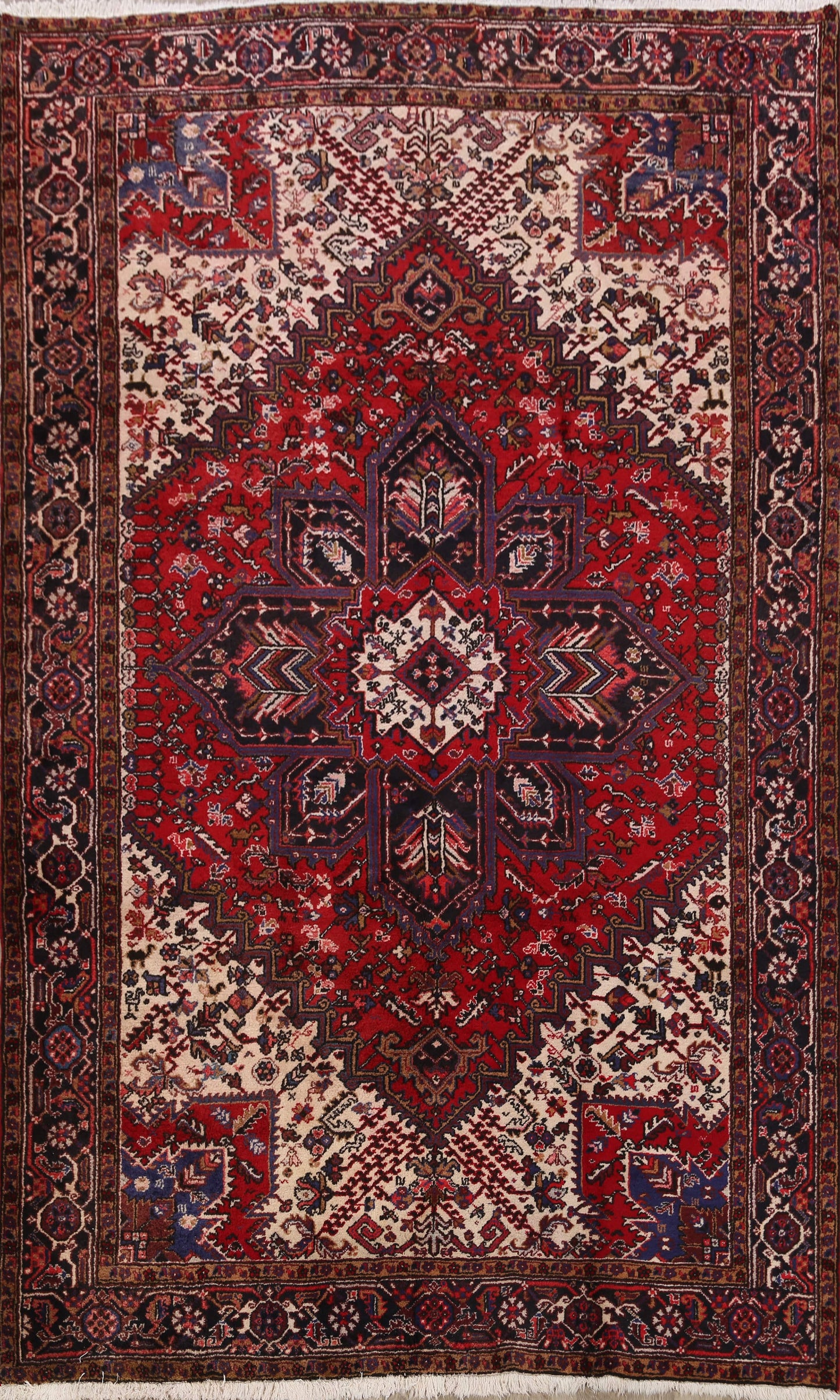 Geometric Heriz Persian Area Rug 8x11