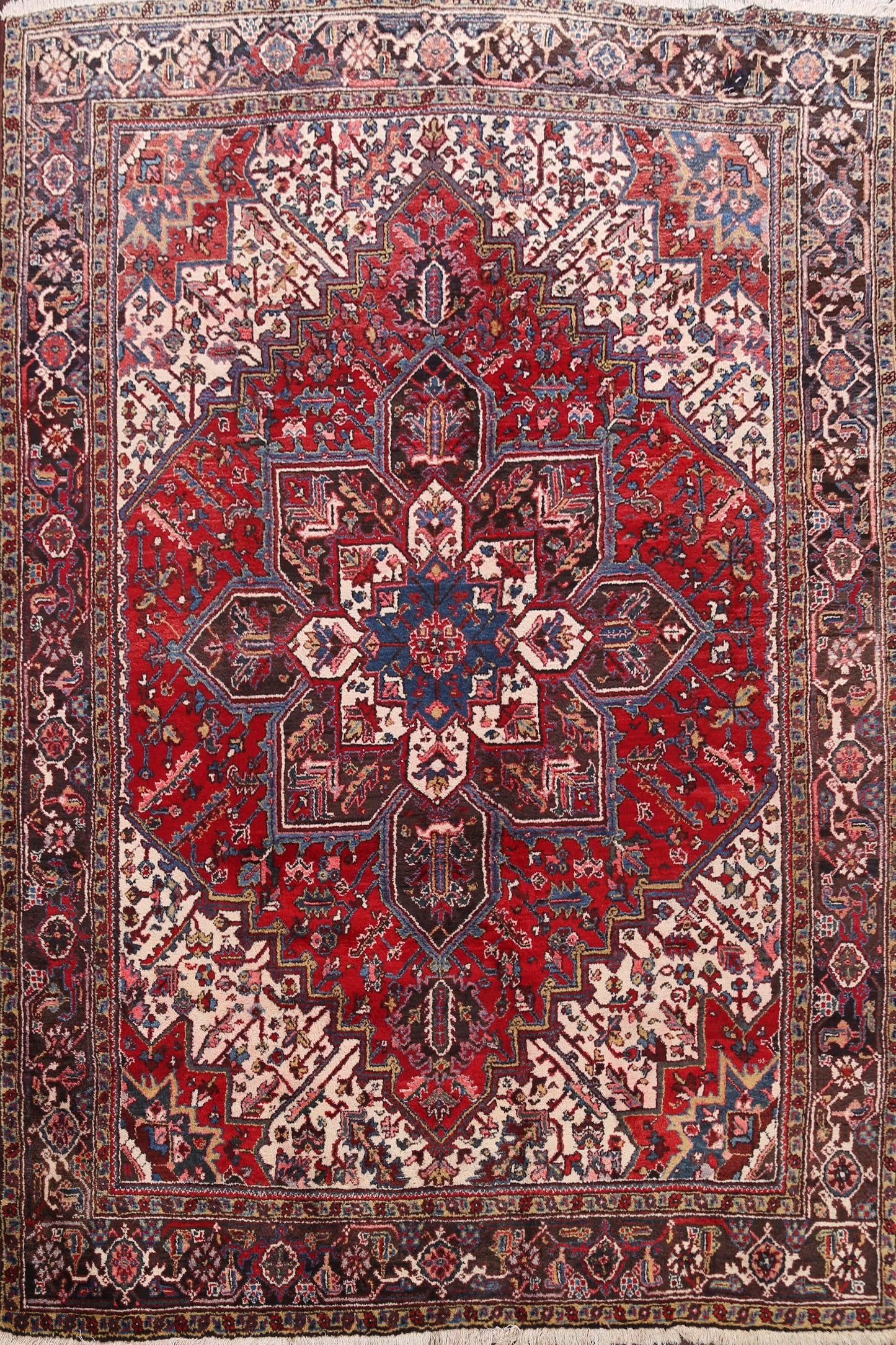 Geometric Heriz Persian Area Rug 9x11