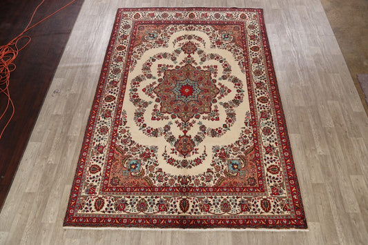 Tabriz Persian Area Rug 8x12