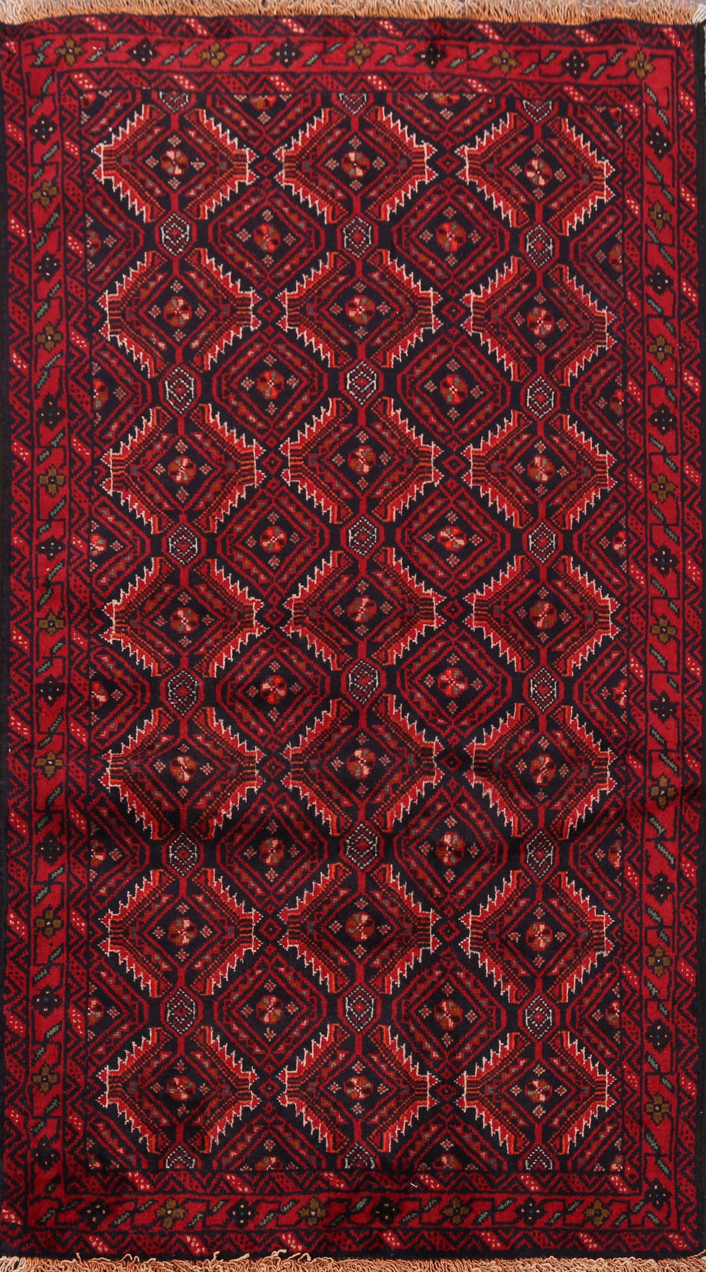 All-Over Balouch Oriental Area Rug 3x5