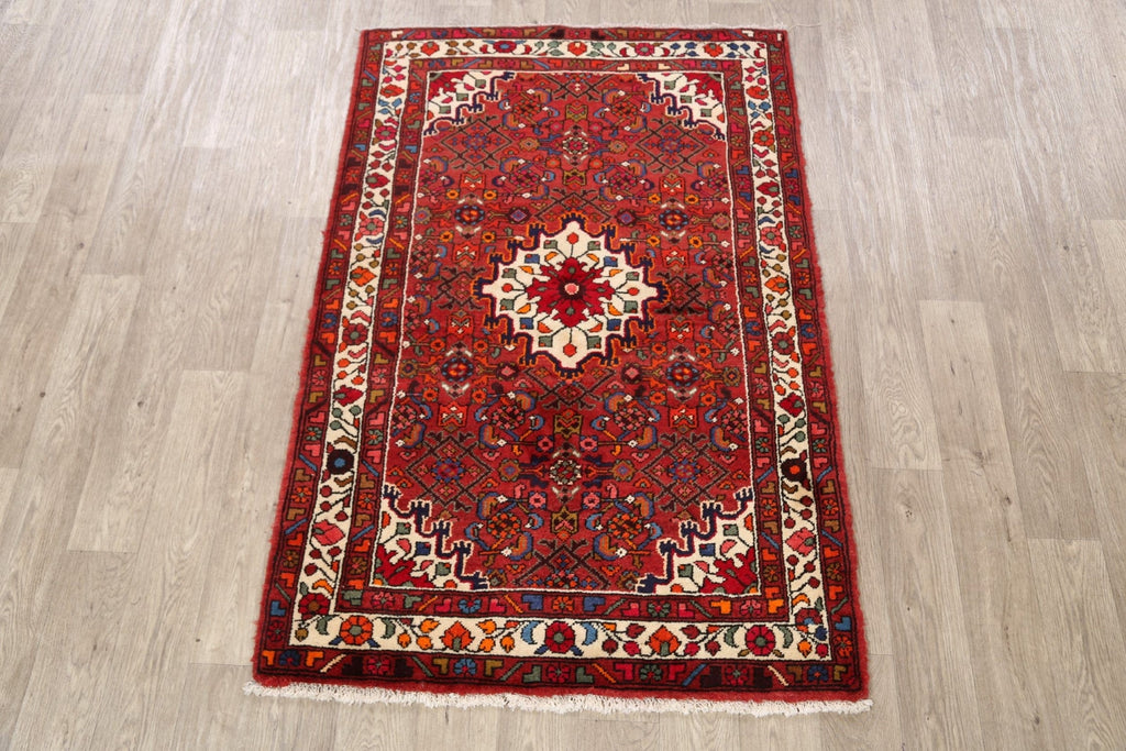 Geometric Hamedan Persian Area Rug 4x5