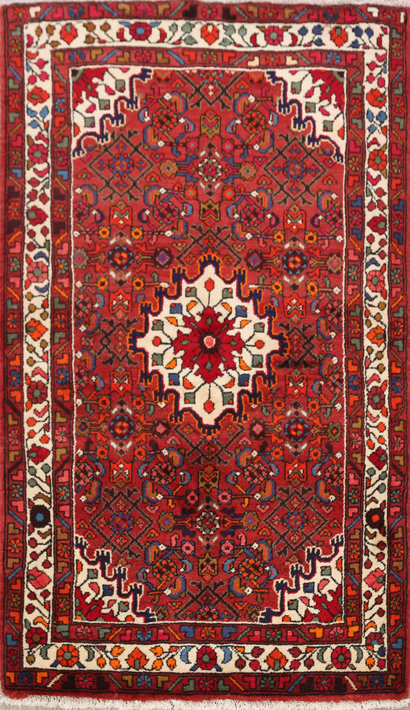 Geometric Hamedan Persian Area Rug 4x5