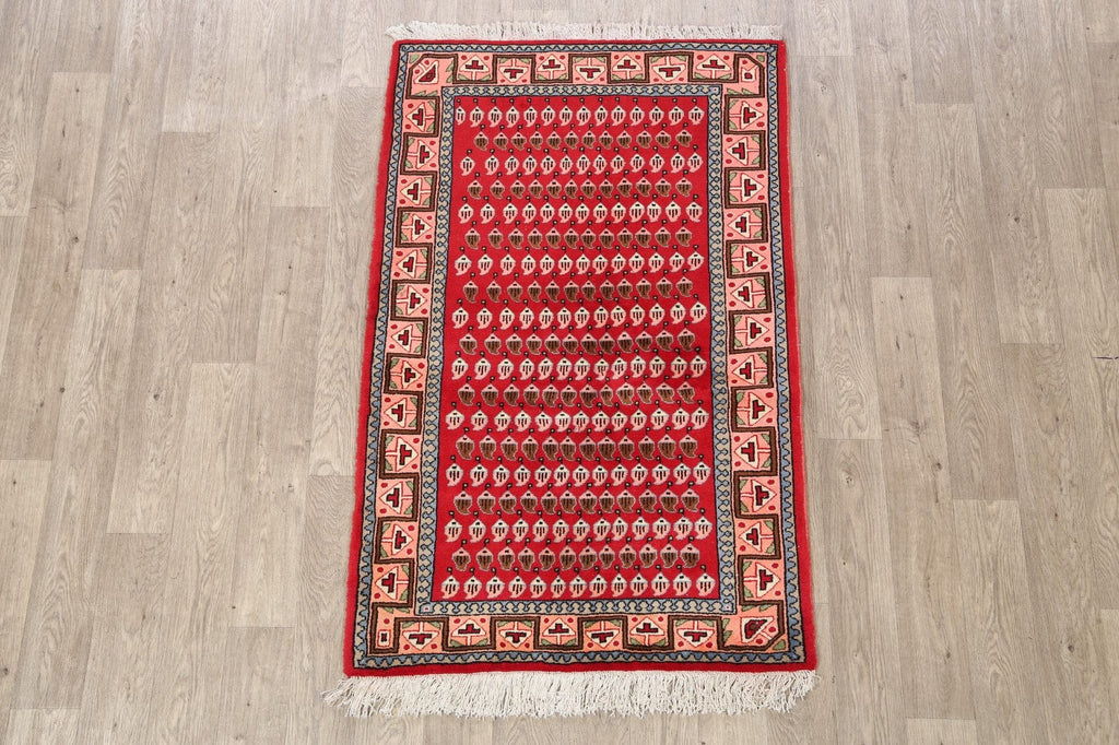 Boteh Botemir Persian Area Rug 3x5