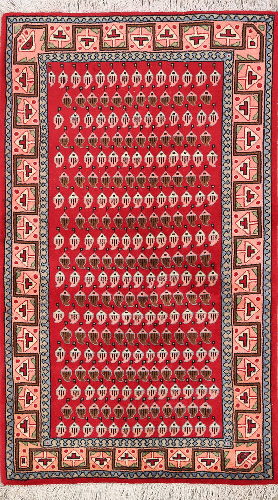 Boteh Botemir Persian Area Rug 3x5