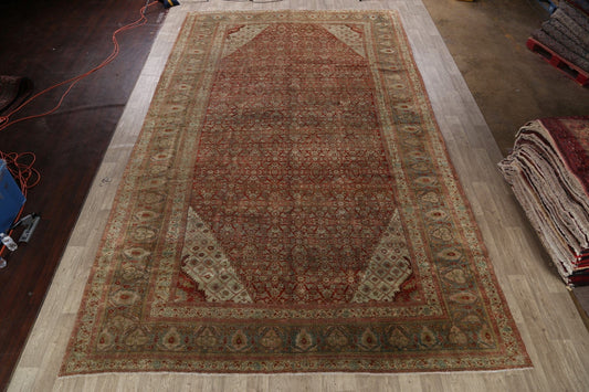 Pre-1900 Antique Bidjar Vegetable Dye Persian Area Rug 11x18