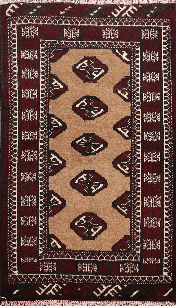 Tribal Bokhara Oriental Area Rug 2x3