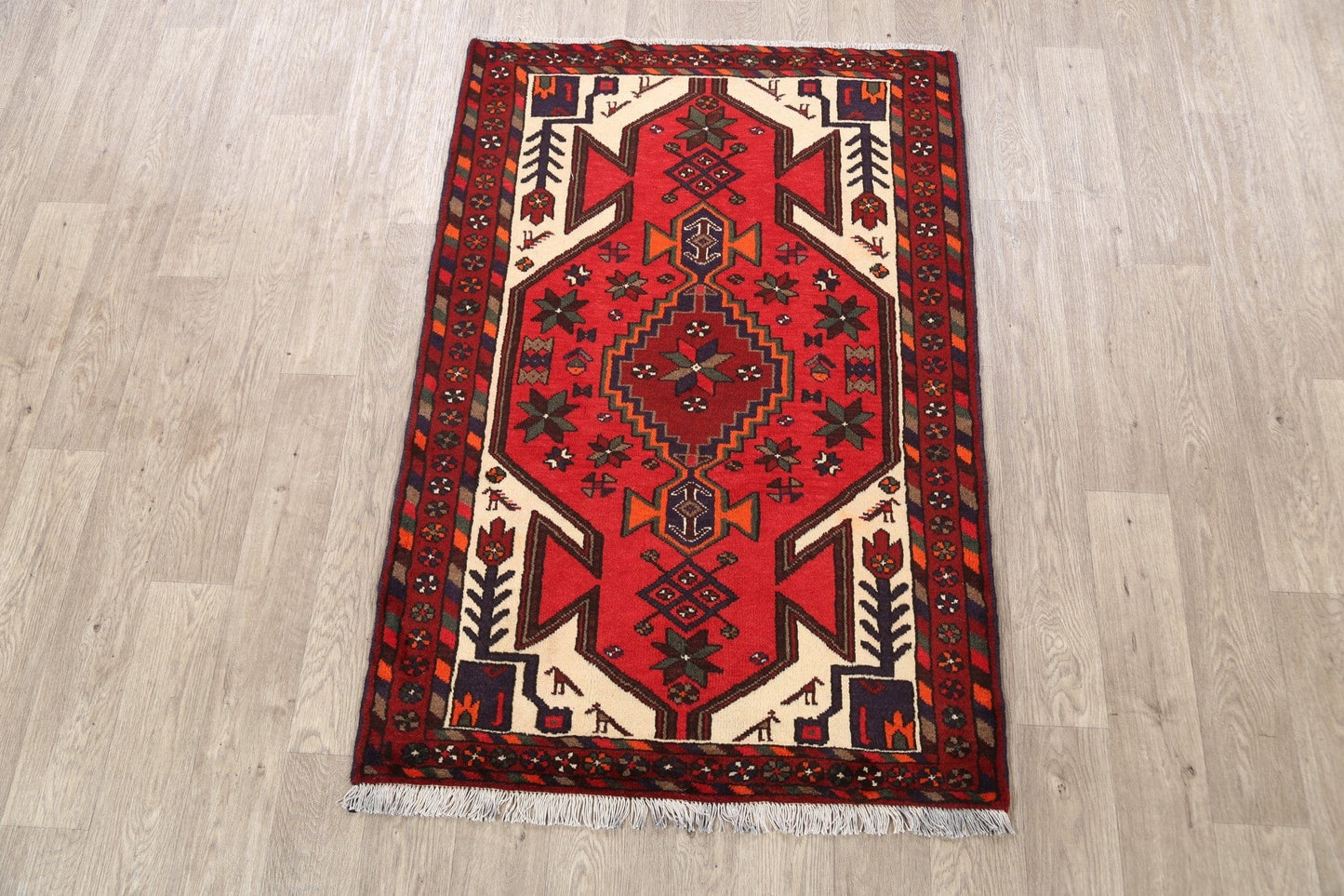 Hamedan Persian Area Rug 3x5