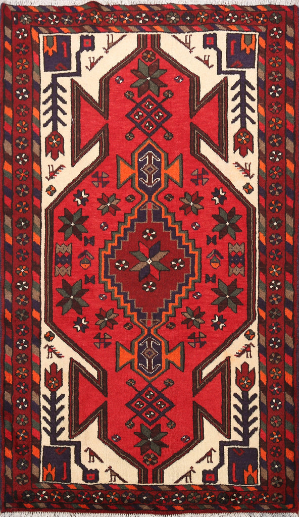 Hamedan Persian Area Rug 3x5