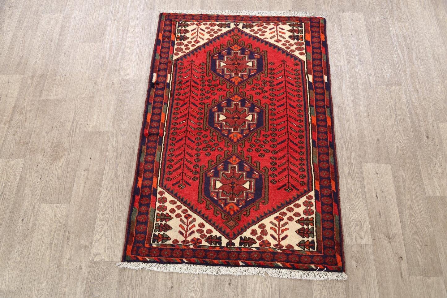 Hamedan Persian Area Rug 3x5