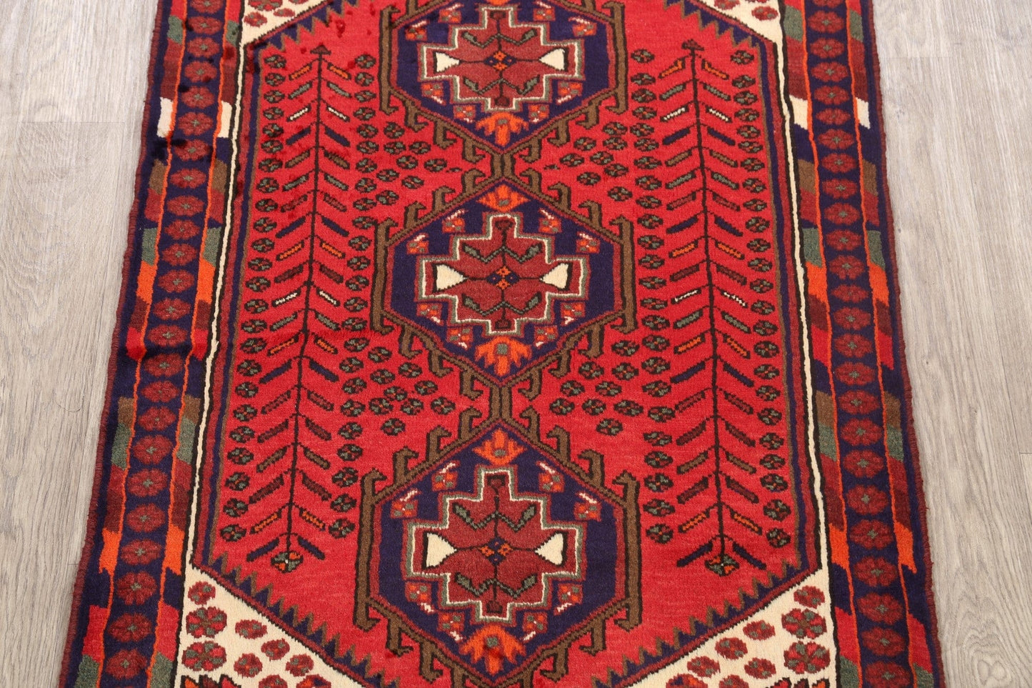 Hamedan Persian Area Rug 3x5