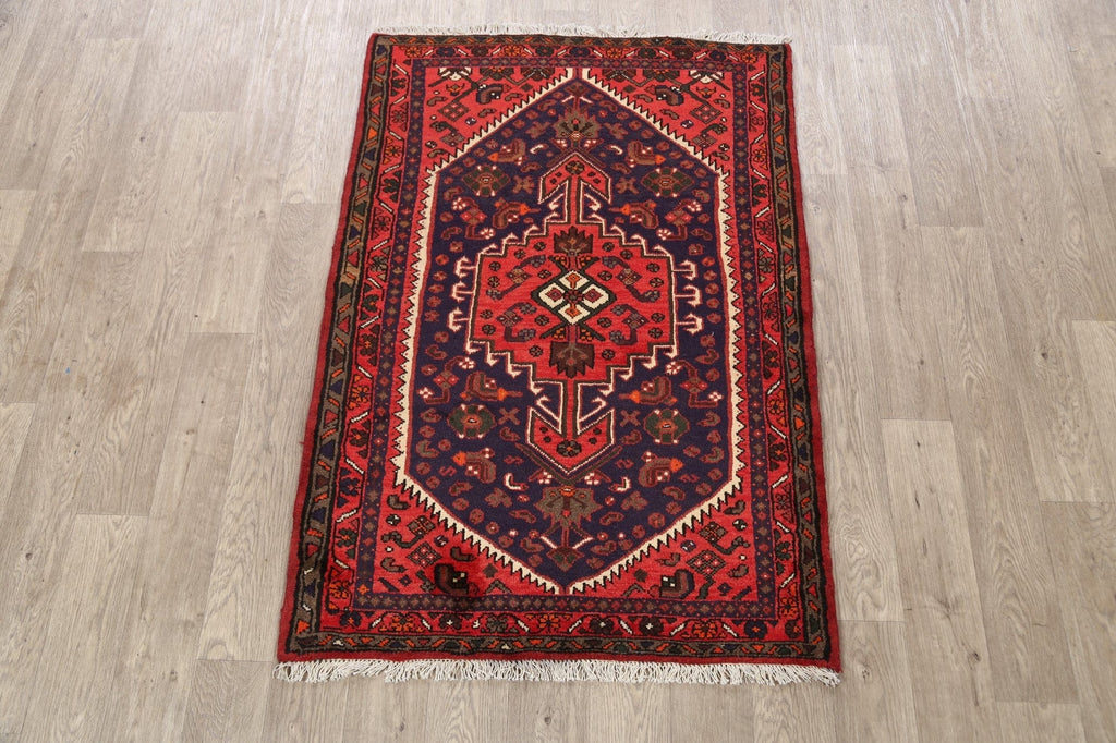 Hamedan Persian Area Rug 3x5