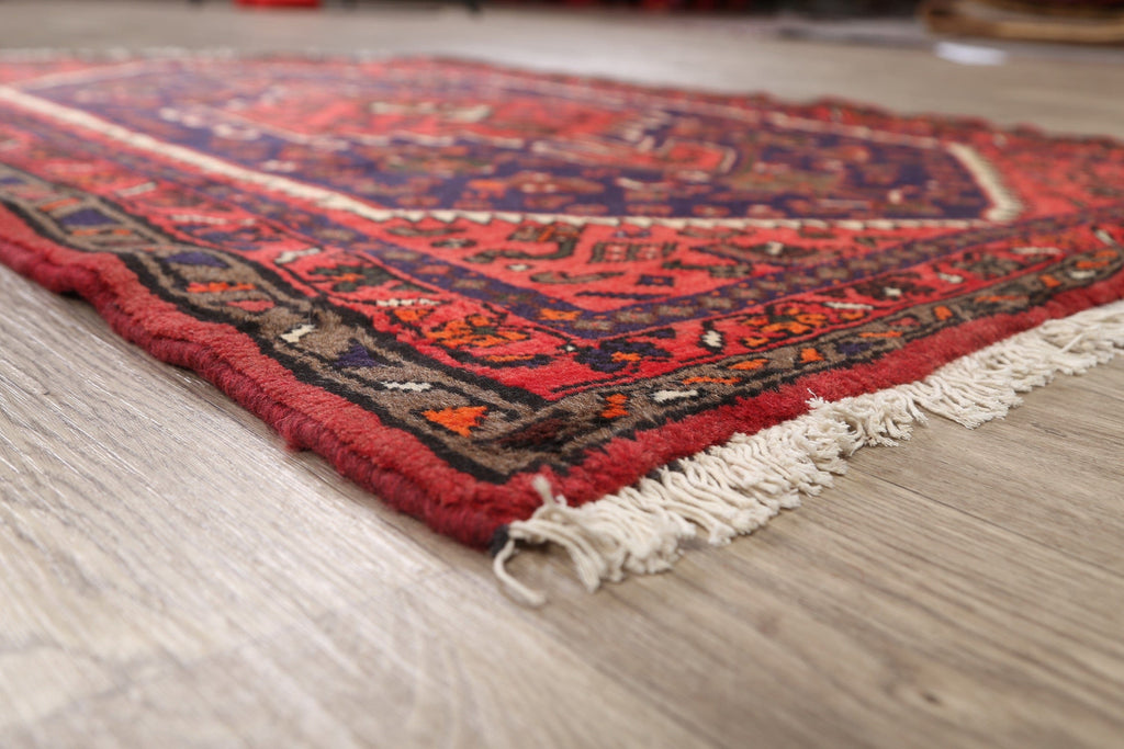 Hamedan Persian Area Rug 3x5