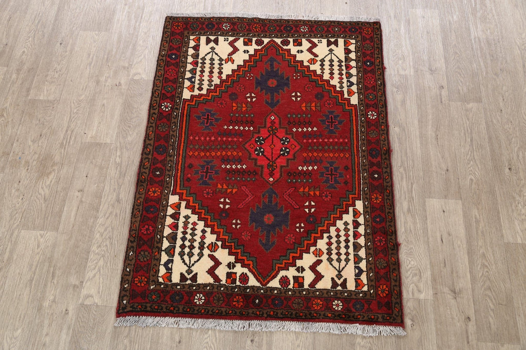 Hamedan Persian Area Rug 3x5