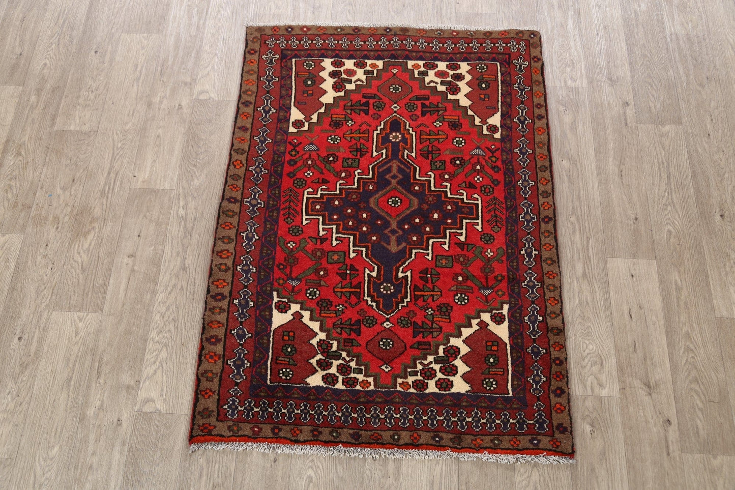 Hamedan Persian Area Rug 3x5