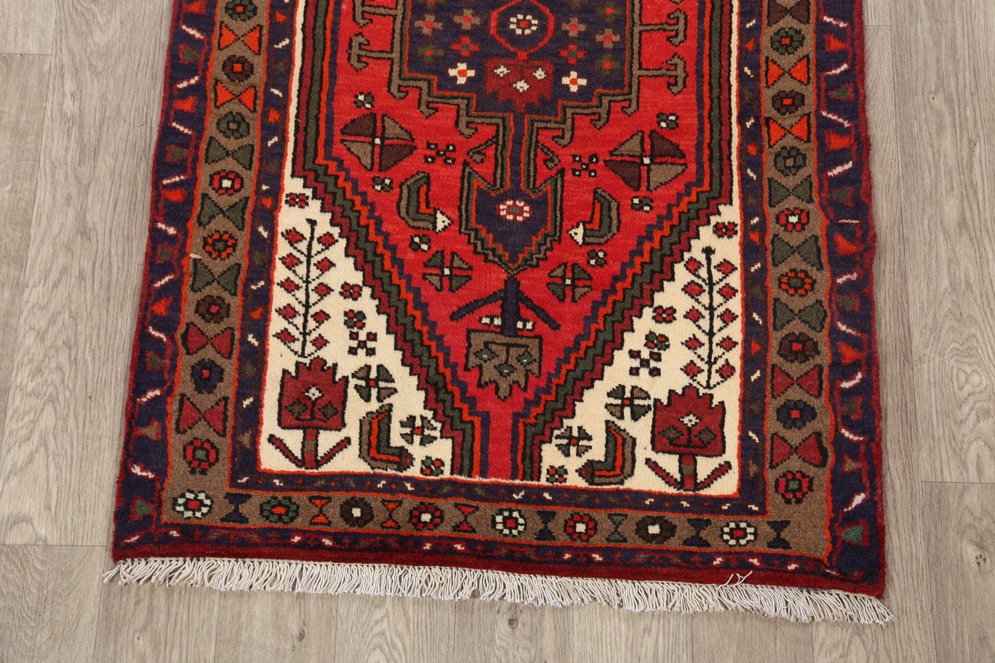 Hamedan Persian Area Rug 3x5