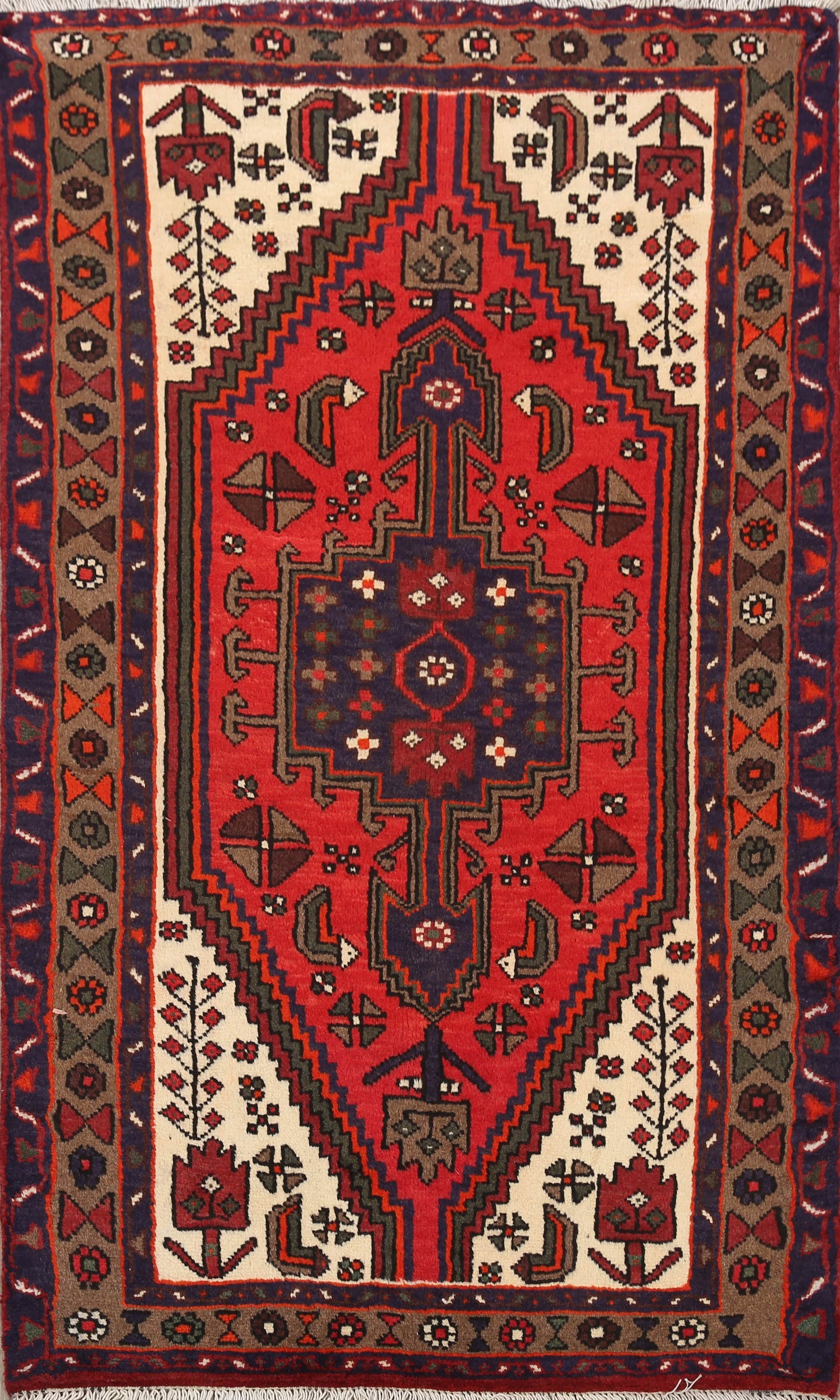 Hamedan Persian Area Rug 3x5