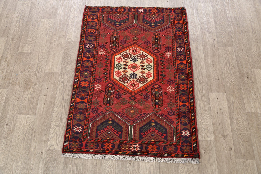 Hamedan Persian Area Rug 3x5