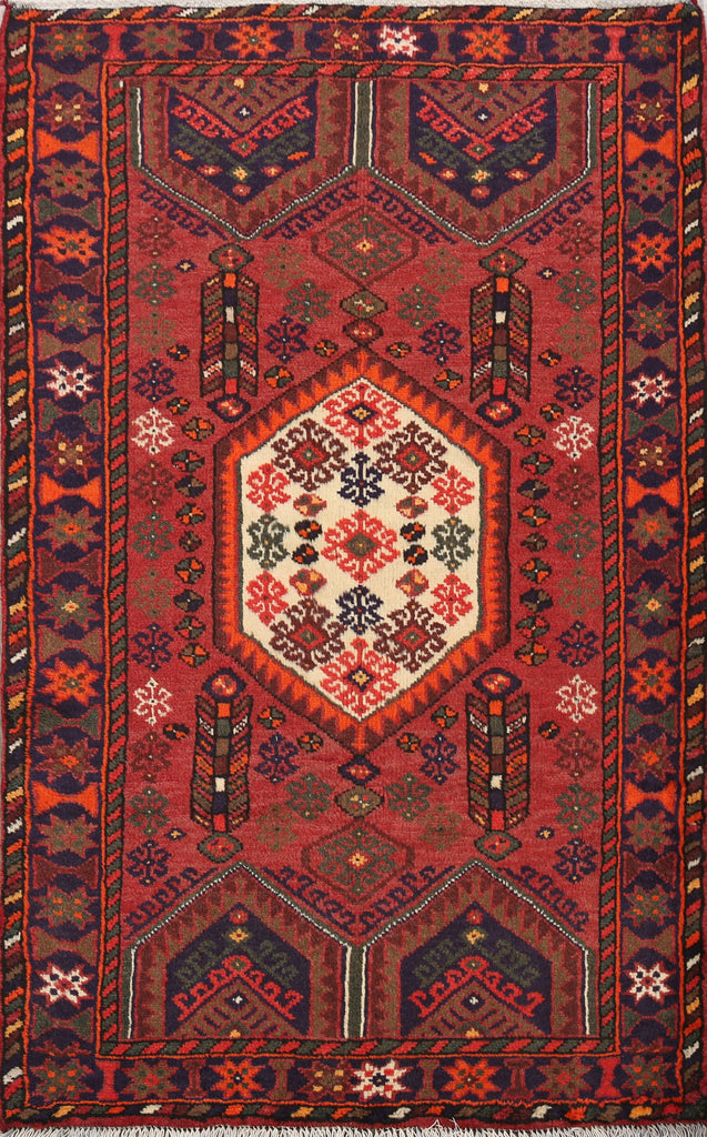 Hamedan Persian Area Rug 3x5