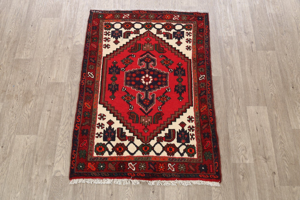 Hamedan Persian Area Rug 3x5