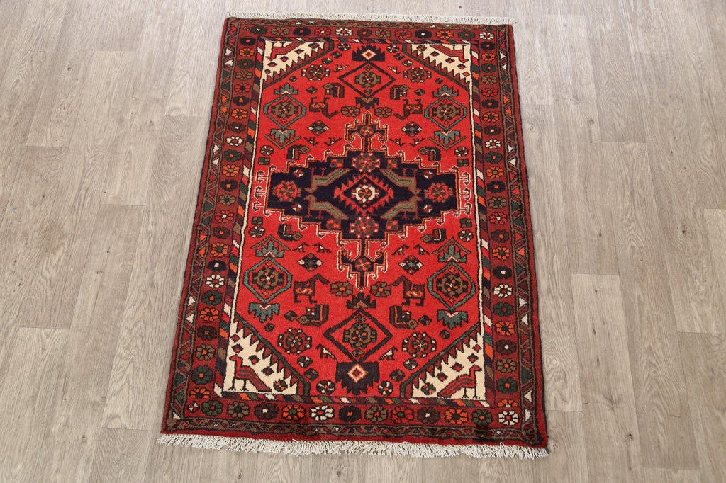 Hamedan Persian Area Rug 3x5