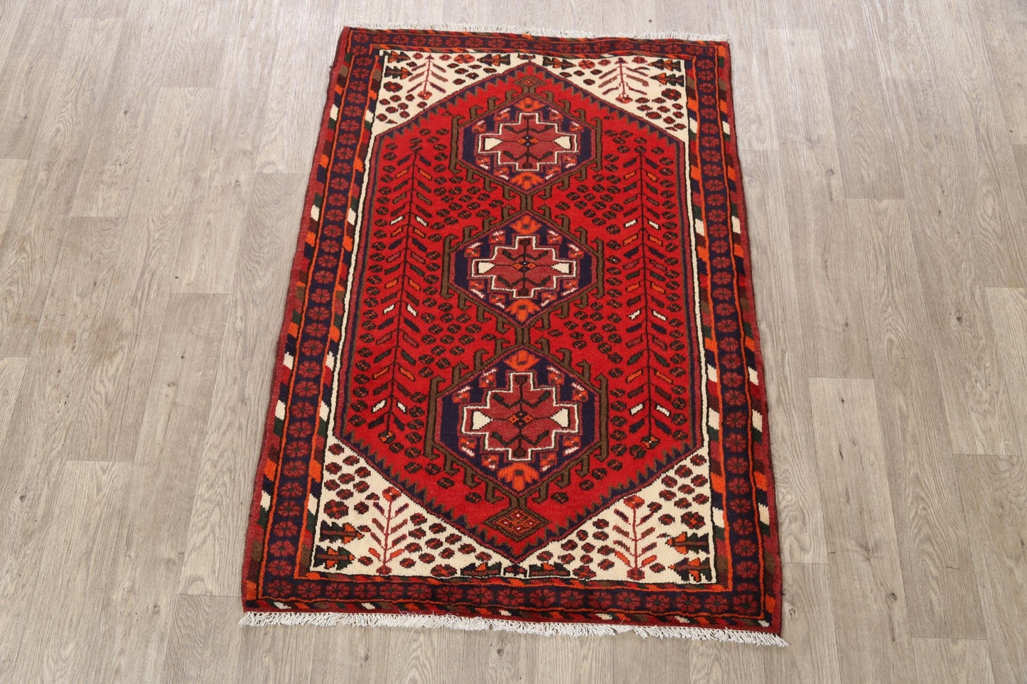 Hamedan Persian Area Rug 4x5