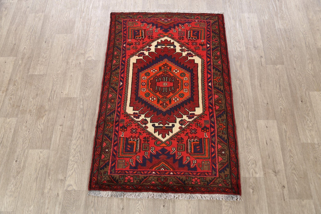 Hamedan Persian Area Rug 3x5