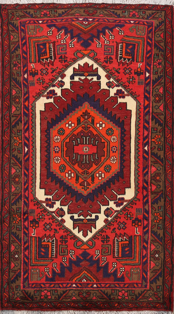 Hamedan Persian Area Rug 3x5