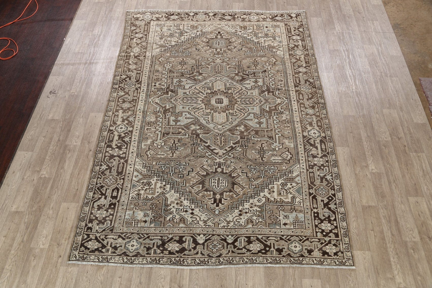 Antique Heriz Persian Area Rug 7x11