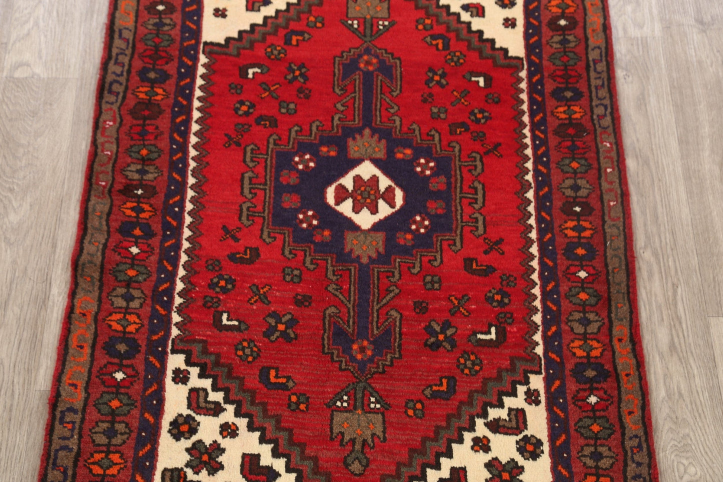 Hamedan Persian Area Rug 3x5