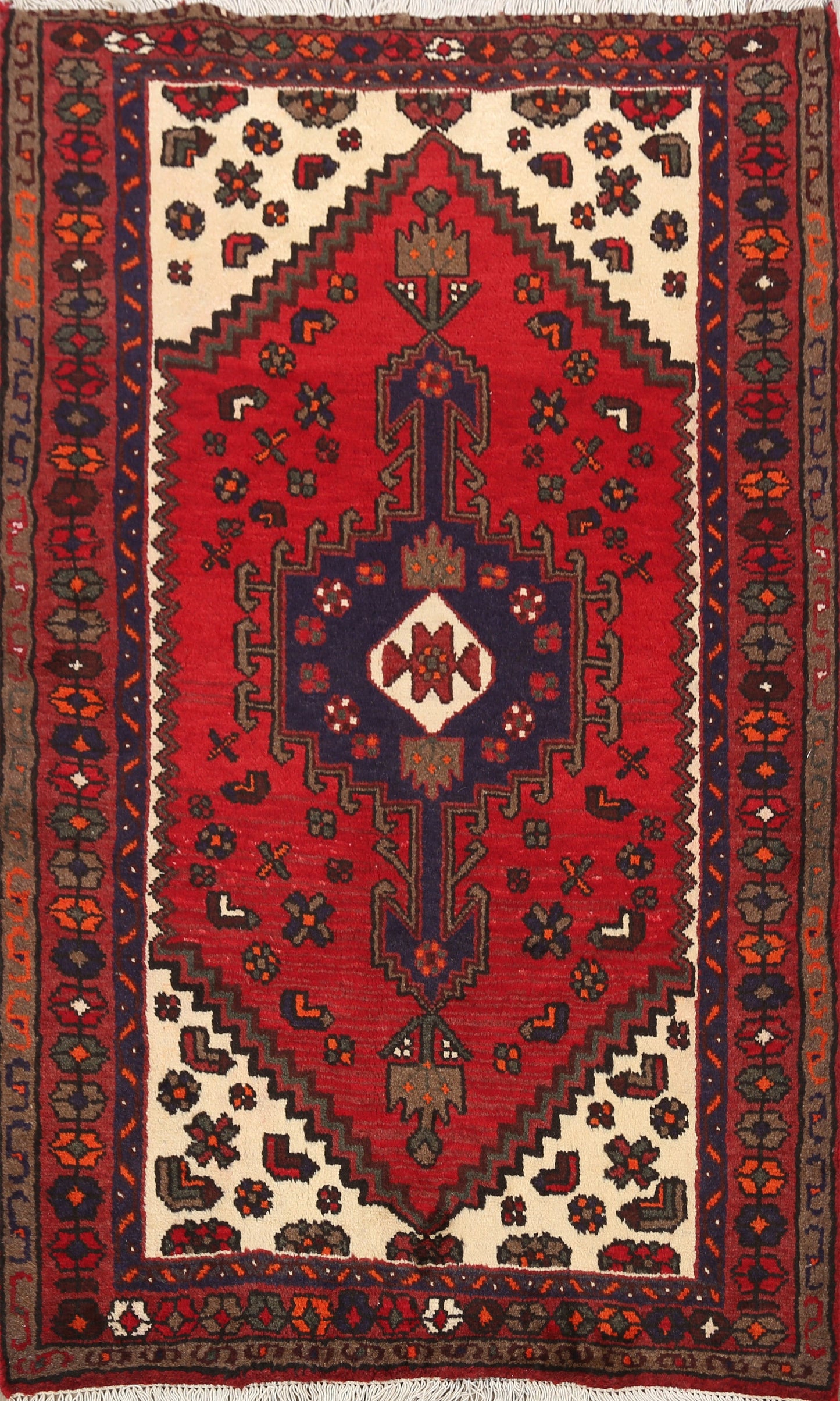 Hamedan Persian Area Rug 3x5