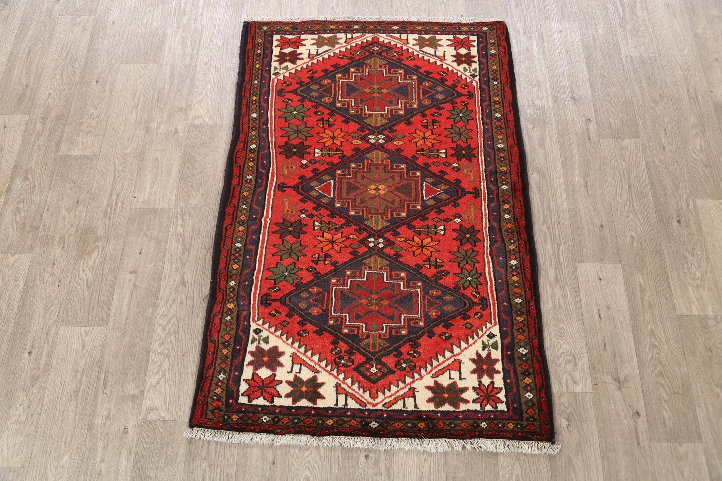 Hamedan Persian Area Rug 3x5