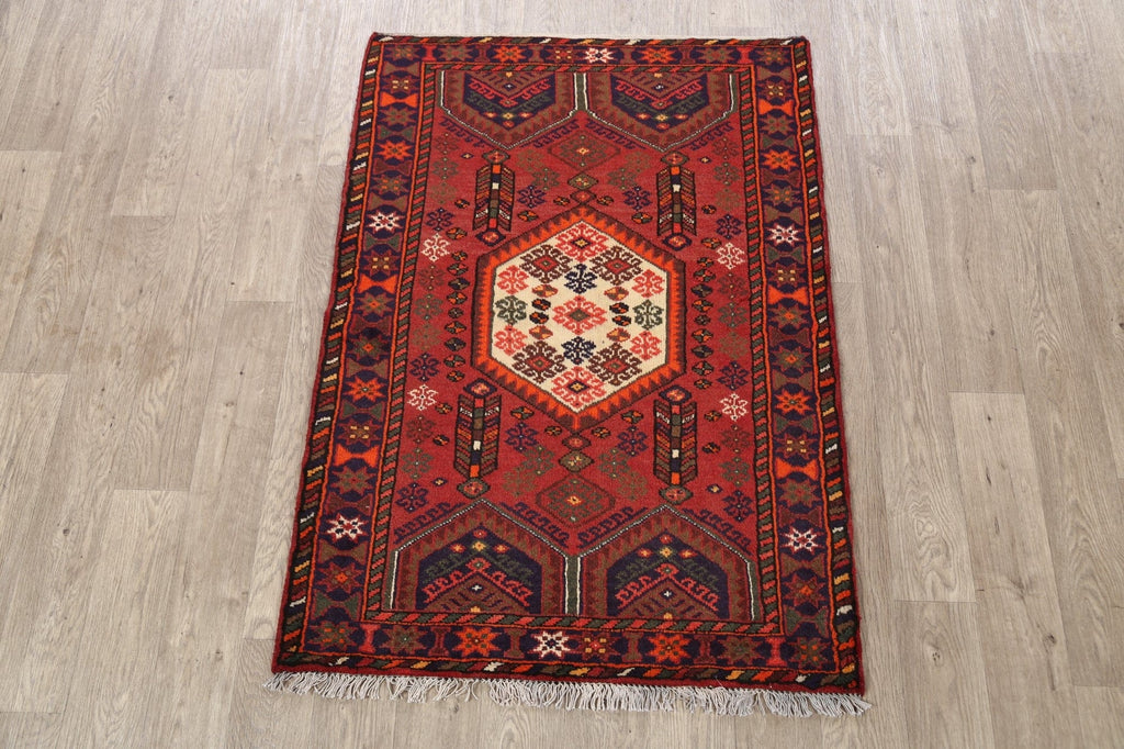 Hamedan Persian Area Rug 3x5