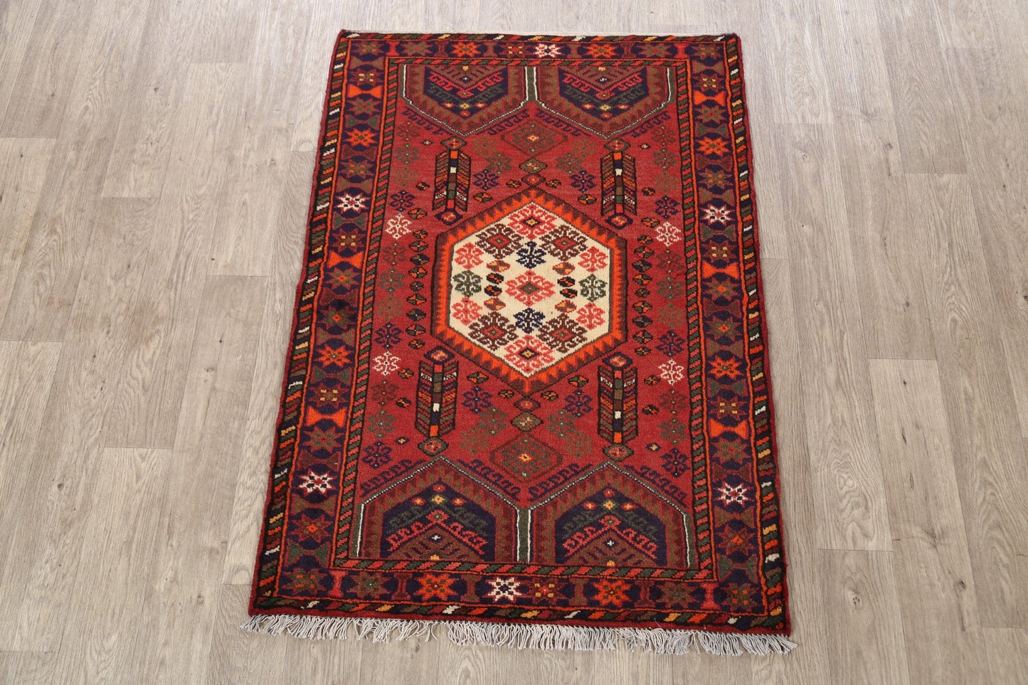 Hamedan Persian Area Rug 3x5