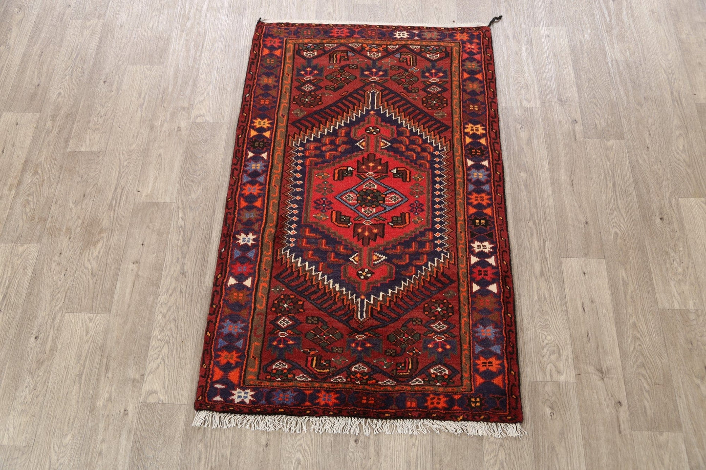 Hamedan Persian Area Rug 3x5