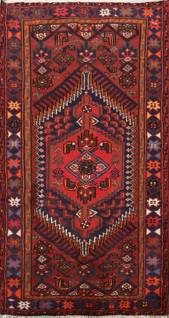 Hamedan Persian Area Rug 3x5